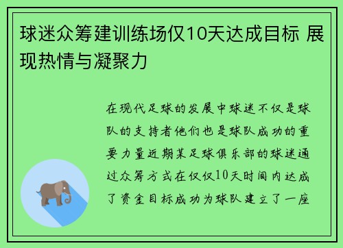 球迷众筹建训练场仅10天达成目标 展现热情与凝聚力